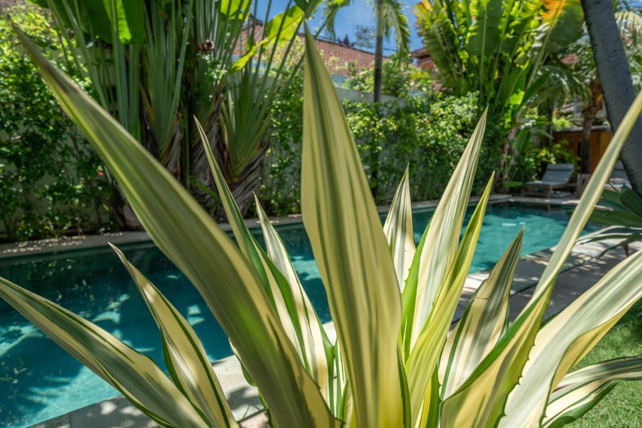 Villa Teman - Luxury 4br In - Huge Pool *